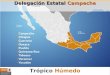 Proyectos Estratégicos Componente Trópico Húmedo Delegación Estatal Campeche