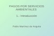 PAGOS POR SERVICIOS AMBIENTALES 1.- Introducción Pablo Martínez de Anguita