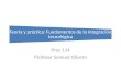Teoría y práctica: Fundamentos de la integración tecnológica Pres 114 Profesor Samuel Olivero