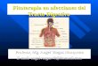 Fitoterapia en afecciones del Tracto Digestivo Profesor, Mg. Angel Vargas Mosqueira E-mail: angelvargas40@hotmail.com
