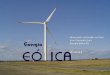 Generación renovable en Perú Juan Coronado Lara Energía Eólica SA VP APEGER