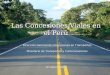 Las Concesiones Viales en el Perú Dirección General de Concesiones en Transportes Ministerio de Transportes y Comunicaciones Octubre 2008