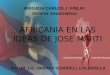 AFRICANIA EN LAS IDEAS DE JOSE MARTI AUTOR: LIC. NINIANA VENDRELL CALZADILLA BRIGADA CARLOS J. FINLAY REGION OHANGWENA