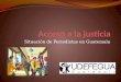 Situación de Periodistas en Guatemala. Tipos de delitos y violaciones a los derechos humanos Delitos Amenazas Coacción Allanamiento Ilegal Lesiones