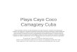 Playa Cayo Coco Camagüey Cuba Este complejo turístico le está prohibido al pueblo de Cuba, violando la Constitución cubana. Se esgrime el embargo norteamericano