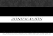 ZONIFICACION - DENSIDAD