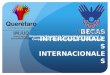 BECAS INTERCULTURALES INTERNACIONALES Organización para la Formación Intercultural y Cooperación Internacional para el Desarrollo