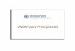 UNDAF para Principiantes. 2 2 Marco estratégico de programación para el Equipo de País de NU Describe la respuesta colectiva del SNU a las prioridades