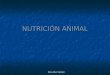Elma Díaz Sánchez NUTRICIÓN ANIMAL. NUTRICIÓN HETERÓTROFA Necesidad de alimentarse de materia orgánica ya elaborada producida por los seres autótrofos