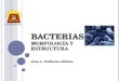 Bacterias (2)