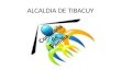 ALCALDIA DE TIBACUY. AUDIENCIAS DE CONCILIACIÓN