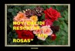 Con Audio HOY DECIDI RESCATAR “MIS ROSAS” Decidí rescatar “Mis Rosas”, las rosas de mi vida, las Frescas, las Dormidas, las Fragantes, las Muertas. Aquellas