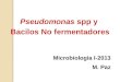 Pseudomonas spp y Bacilos No fermentadores Microbiología I-2013 M. Paz