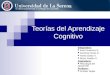 Teorías del Aprendizaje Cognitivo Integrantes: Karol Guerrero S. Carolina Flores D. Yasna Galaz V. Rocío Pastén V. Asignatura: Psicología del Desarrollo