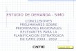 ESTUDIO DE DEMANDA - SIMO CONCLUSIONES PRELIMINARES SOBRE PRIORIDADES REGIONALES RELEVANTES PARA LA PLANIFICACION ESTRATEGICA DE CATIE 2003 - 2012 Proyecto