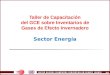 1B.1 Taller de Capacitación del GCE sobre Inventarios de Gases de Efecto Invernadero Sector Energía