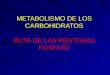 METABOLISMO DE LOS CARBOHIDRATOS RUTA DE LAS PENTOSAS FOSFATO METABOLISMO DE LOS CARBOHIDRATOS RUTA DE LAS PENTOSAS FOSFATO