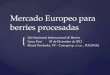 { Mercado Europeo para berries procesadas 2do Seminario Internacional de Berries Lima, Perú 05 de Diciembre de 2012 Marek Pawlonka, VF – Concept sp. z