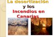 La desertización y los Incendios en Canarias. INDICE Desertización Desertización Actividades humanas que desencadenan la desertización. Extensión de la