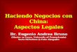 Eugenio A. Bruno - ebruno@nyco.com.ar 1 Haciendo Negocios con China: Aspectos Legales Dr. Eugenio Andrea Bruno (Master en Leyes, University of Pennsylvania)