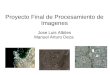Proyecto Final de Procesamiento de Imagenes Jose Luis Albites Manuel Arturo Deza
