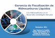 1 Los hidrocarburos en el desarrollo estrategico del pais.pdf