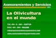 La Olivicultura en el mundo Asesoramientos y Servicios SRL Tel: +54 - 9 - 264 – 4157719 FAX: +54 - 264 - 4921086 info@asesoramientosyservicios.com 