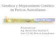 Presentado por: Ing. Hernàn Rey-Sànchez S. Juez C.O.M. Pericos Australianos Genética y Mejoramiento Genético en Pericos Australianos