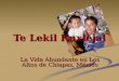 Te Lekil Kuxlejal La Vida Abundante en Los Altos de Chiapas, México