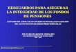 RESGUARDOS PARA ASEGURAR LA INTEGRIDAD DE LOS FONDOS DE PENSIONES ESTUDIO DE PRACTICAS INTERNACIONALES EN GESTION DE ACTIVOS FINANCIEROS PREVISIONALES