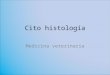 Cito histología II 09.ppt