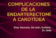 COMPLICACIONES DE LA ENDARTERECTOMÍA CAROTÍDEA Dras. Bounous, De León, Surbano. Dr. Solla