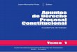 130917848 Apuntes de Derecho Procesal Constitucional T1 1