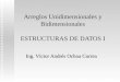 Arreglos Unidimensionales y Bidimensionales ESTRUCTURAS DE DATOS I Ing. Víctor Andrés Ochoa Correa