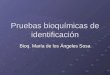 Pruebas bioquímicas de identificación Bioq. María de los Ángeles Sosa