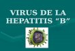 VIRUS DE LA HEPATITIS B. INTRODUCCIÓN El VHB es el principal representante de los hepadnavirus.El VHB es el principal representante de los hepadnavirus
