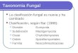 Taxonomía Fungal La clasificación fungal es nueva y ha cambiado Clasificación, según Bar (1988): DivisiónEumycota SubdivisiónMastigomycota ClaseChytridiomycetes