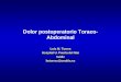 Dolor postoperatorio Toraco- Abdominal Luis M. Torres Hospital U. Puerta del Mar Cádiz lmtorres@arrakis.es