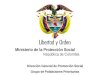 Ministerio de la Protección Social República de Colombia Dirección General de Promoción Social Grupo de Poblaciones Prioritarias