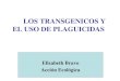LOS TRANSGENICOS Y EL USO DE PLAGUICIDAS Elizabeth Bravo Acción Ecológica