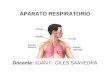 Aparato Respiratorio - Vias Aereas Inferiores