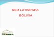 RED LATINPAPA BOLIVIA. Actividad Bol 01 Evaluación y selección de 36 clones avanzados de papa introducidos del CIP y 30 clones avanzados provenientes