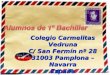 Colegio Carmelitas Vedruna C/ San Fermín nº 28 31003 Pamplona – Navarra España
