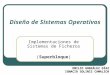 Diseño de Sistemas Operativos Implementaciones de Sistemas de Ficheros (Superbloque) EMILIO GONZÁLEZ DÍAZ IGNACIO SOLINIS CAMALICH