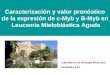 Caracterización y valor pronóstico de la expresión de c-Myb y B-Myb en Leucemia Mieloblástica Aguda Laboratorio de Biología Molecular Hospital La Fe