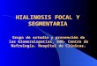 HIALINOSIS FOCAL Y SEGMENTARIA Grupo de estudio y prevención de las Glomerulopatías, SUN- Centro de Nefrología. Hospital de Clínicas