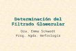 Determinación del Filtrado Glomerular Dra. Emma Schwedt Prog. Agda. Nefrología