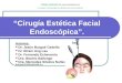 Cirugía Estética Facial Endoscópica. Autores: Dr. Jesús Burgué Cedeño Dr. Efrain Ung Lau Dr. Fernando Echevarria Dra. Beatriz Ballongo Dra. Mercedes Silveira