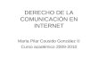DERECHO DE LA COMUNICACIÓN EN INTERNET María Pilar Cousido González © Curso académico 2009-2010