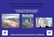 Producción de Pulpa de Papel Caso Fray Bentos - Uruguay Uniendo los Movimientos Sociales al Cabildeo y Litigio Estratégico Centro de Derechos Humanos y